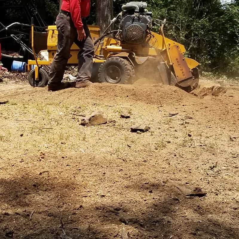 Stump grinding in progress on residential property in Indian Trail, NC