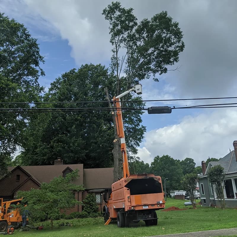 Tree removal in progress by Erwin’s Tree Service in Monroe, NC