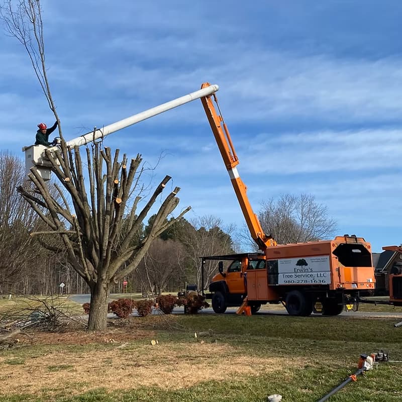 Professional tree trimming by Erwin’s Tree Service using bucket truck in Waxhaw, NC